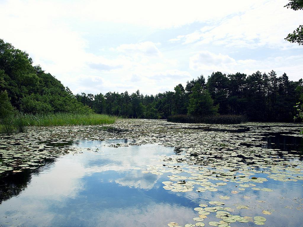 Villa Domek Letniskowy Grazyna Kopalino Exterior foto